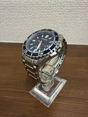 CITIZEN Eco-Drive 프로 마스터 시티즌