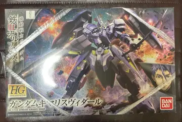 HG 1/144 건담 키마리스 비다르