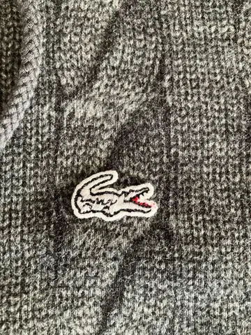 라코스테 집업 후드티