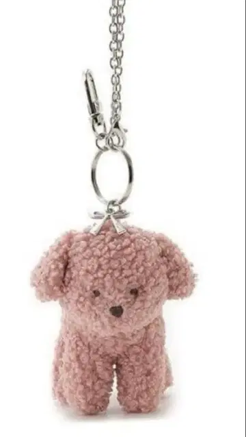 젤라또피케 토이 푸들 참 새상품