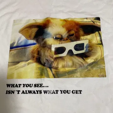 ZARA 기즈모 셔츠