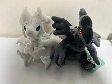 포켓몬 fit 레시라무 제크로무