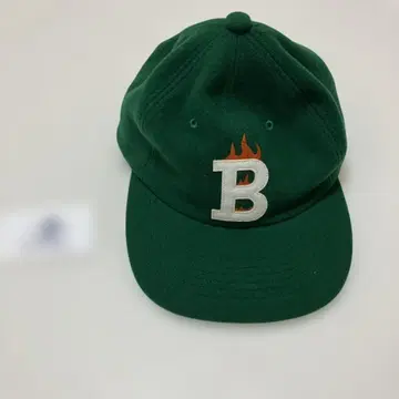 치즈 캡의 아들