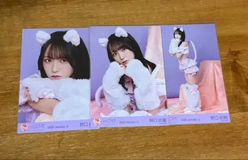 이코라브 노구치 이오리 고양이 의상 컴프