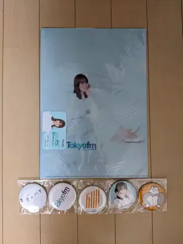 다레하나 클리어 파일 랜덤 스티커 포함 캔 배지 5개, 야마자키 레이나