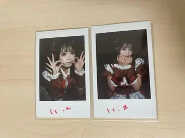 iLife 코코로하나 리리 사인 폴라로이드