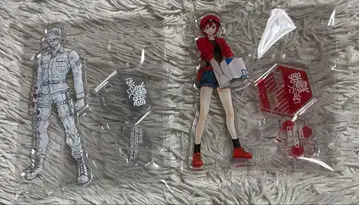 일하는 세포 아크릴 스탠드 적혈구&백혈구 [ 일하는 세포 원화전 ]