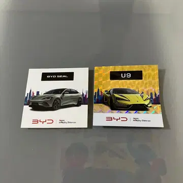 모비쇼 BYD U9 씰 스티커 2장 세트