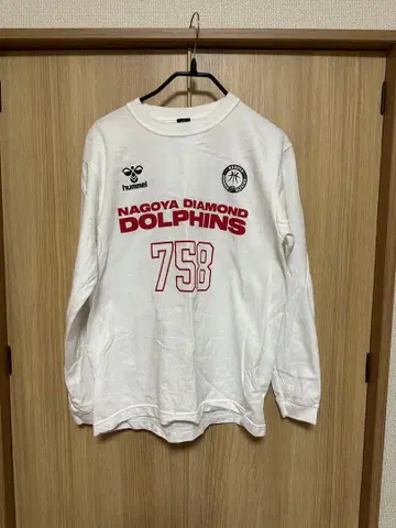 나고야 다이아몬드 돌핀스 2024-2025 시즌 롱티