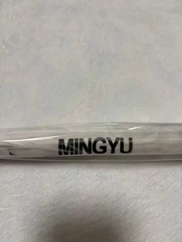 SEVENTEEN 문화제 링 던지기 MINGYU 태피스트리