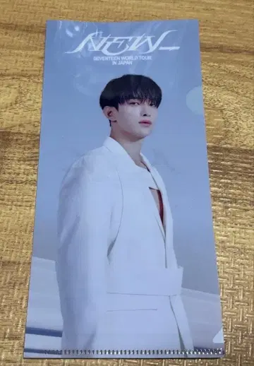 SEVENTEEN 라이브 뷰잉 내장자 특전 DK