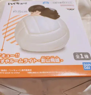 하이큐 카게야마 토비오 룸 라이트