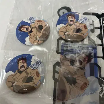 히로아카 엔데버