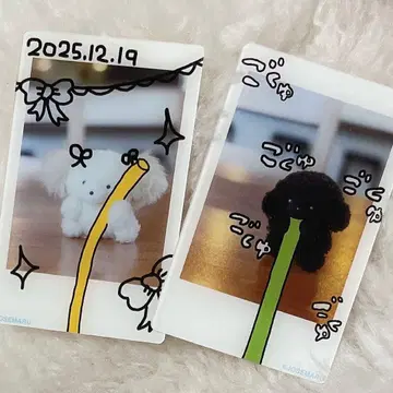 조세마루 POPUP 그림 전시 체키 느낌 카드