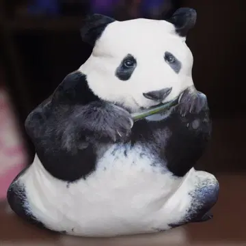 리얼 팬더 쿠션