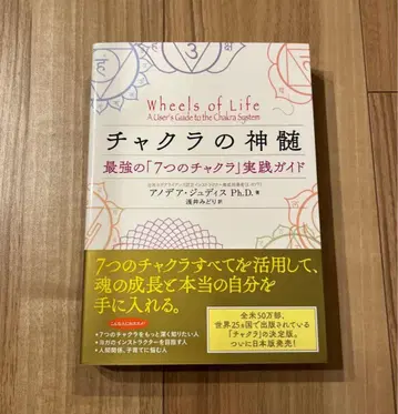 차크라의 정수 최강의 7가지 차크라 실천 가이드