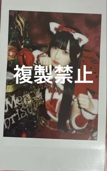 신기루 암 2024 크리스마스 폴라로이드