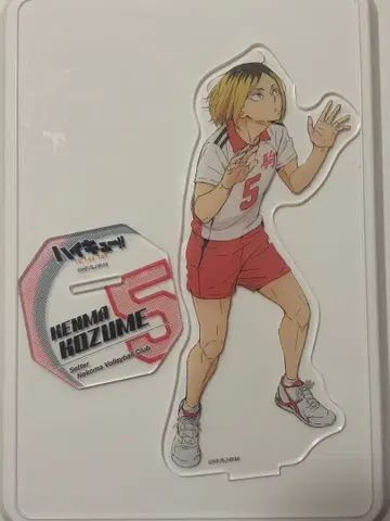 하이큐!! 코즈메 켄마