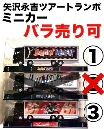 야자와 에이요시 트랜스포머형 미니카