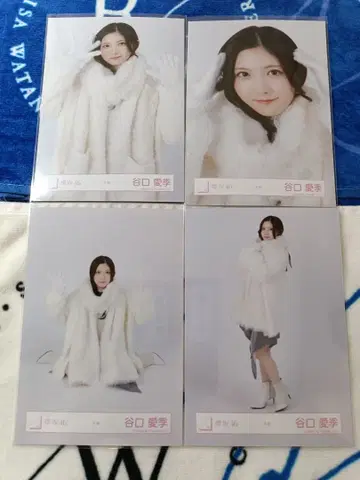 사쿠라자카46 타니구치 아이리 겨울 의류 브로마이드 컴프