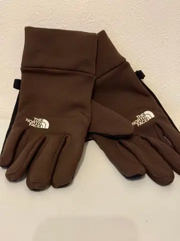 THE NORTH FACE 브라운 장갑 L 사이즈 이칩그로브