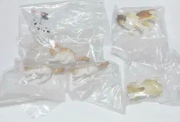 바람에도 지지 않고. 3