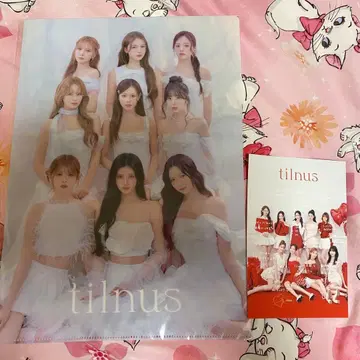 tilnus niziu 클리어 파일 엽서