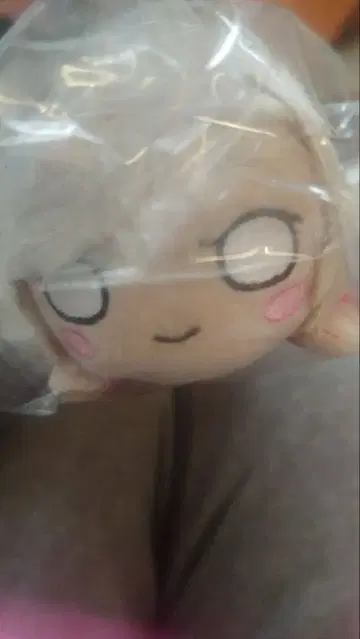 럭키 쿠지 하스노소라 B상 세라스