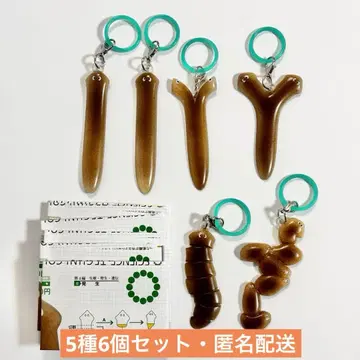 STC 플라나리아 재생 실험 메지루시 마스코트 5종 6개 세트