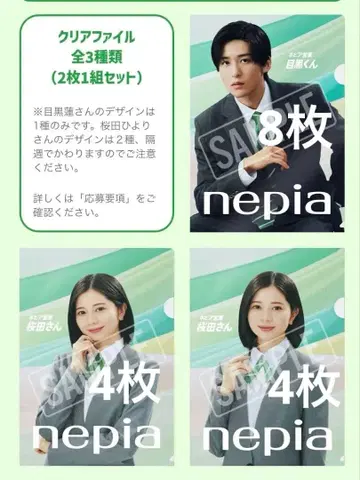 네피아 메구로 렌 히요리 사쿠라다 클리어 파일 16장