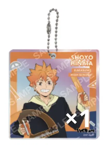 하이큐 쇼와노트 복권 BIG 오로라 브로키 히나타 쇼요