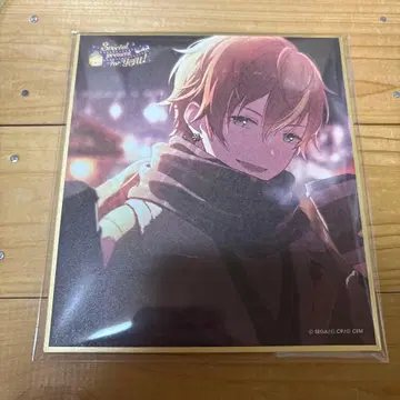 프로세카 색지 53C 아키토 2