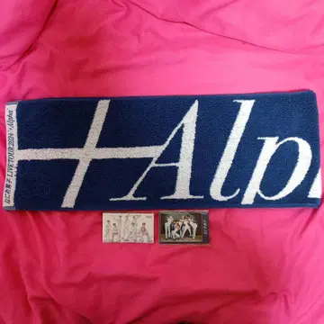 나니와단시 Alpha 타월