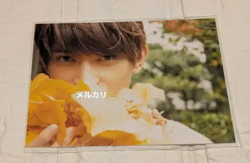 요시자와 료 2015년 달력 혜택 브로마이드