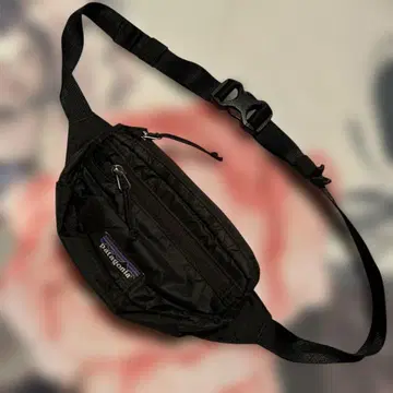Patagonia 미니 웨이스트 파우치