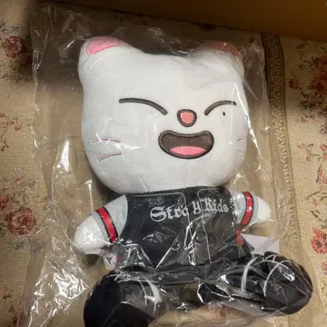 StrayKids 스키즈 dominATE 지니렛 에코파