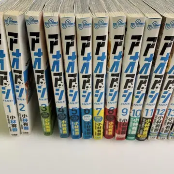 아오아시 1~40권, 브라더풋