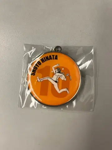 점프 페스타 하이큐 RUN 메탈 키링 히나타