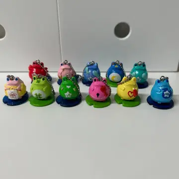 FROG STYLE 프로그스타일 컬렉션 11개