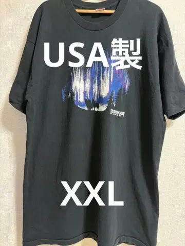 USA제 프룻 오브 더 룸 T셔츠 XXL 챔피온 리버스 위브