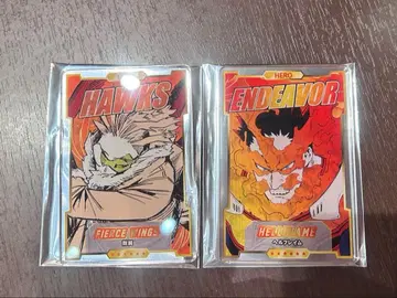 히로아카 스탯 카드 컬렉션 엔데버 호크스 점프 페스타