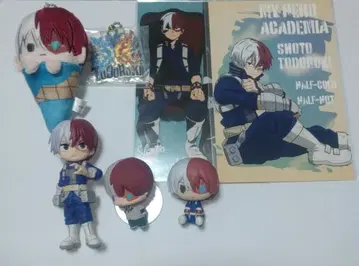 토도로키 쇼토 세트