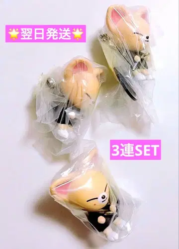 StrayKids 츠마츠나 아이엔 폭시니 SKZOO 가챠 3연