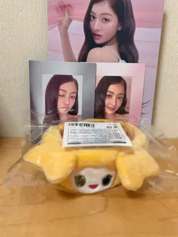 twice 응원봉 커버 지효 지브리