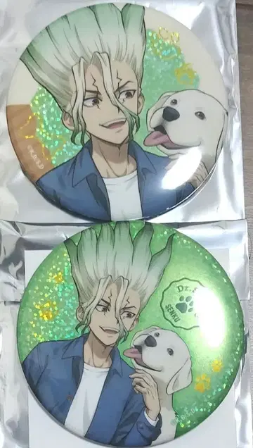 이시가미 센쿠 75mm 키라키라 캔뱃지 닥터 스톤 with dogs