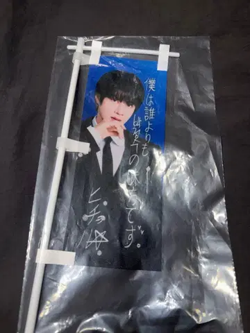 SUPER JUNIOR SUPER SHOW10 등신대 히초루