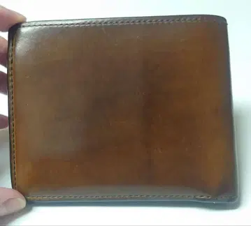 [ 단종 레어 ] WILDSWANS HENLY (헨리) 스후마토 x 안장