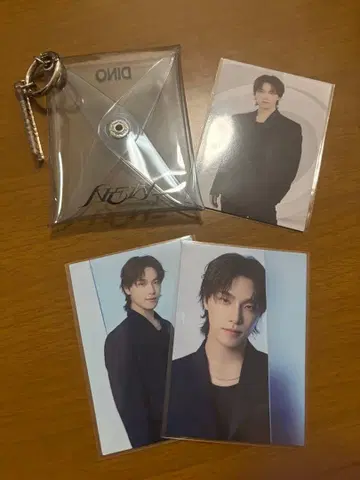 seventeen 디노 굿즈