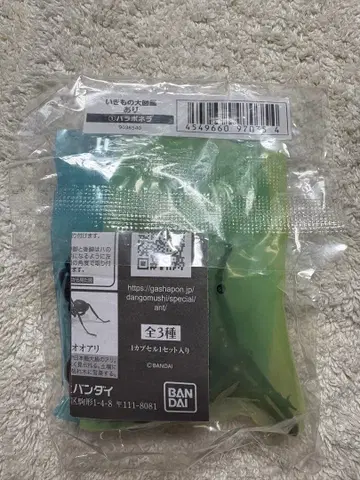 생물대도감 개미 파라포넬라