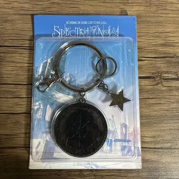 호시마치 스이세이 라이브 투어 2024 키체인